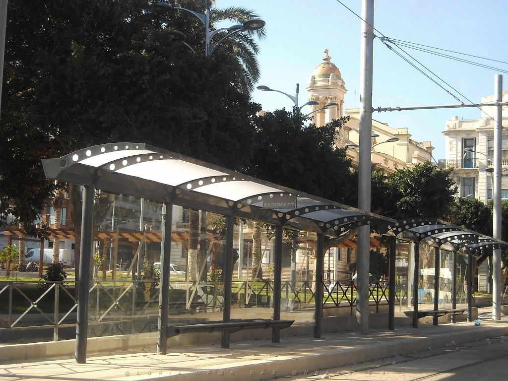 ORAN 2013 JANVIER - Tram. place d'Armes.JPG